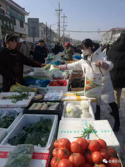白馬鋪鎮(zhèn)多措并舉，全力保障春節(jié)期間農(nóng)產(chǎn)品質(zhì)量安全